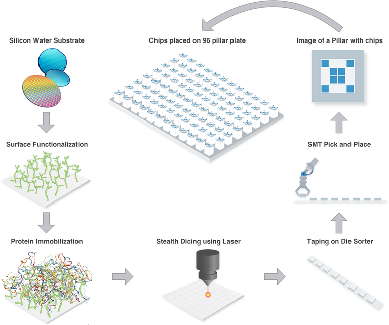 Testes para Diagnóstico — Instituto Nacional da Propriedade Industrial